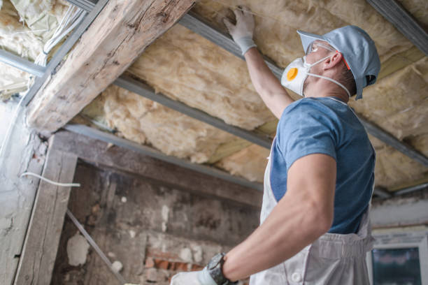 Best Specialty Insulation in Elmwood Place, OH