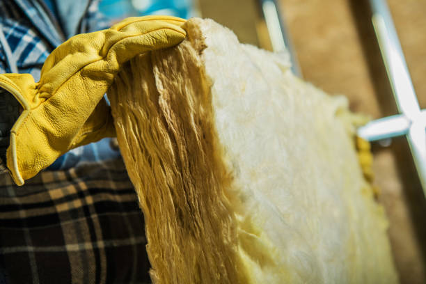 Best Insulation Maintenance and Repair in Elmwood Place, OH